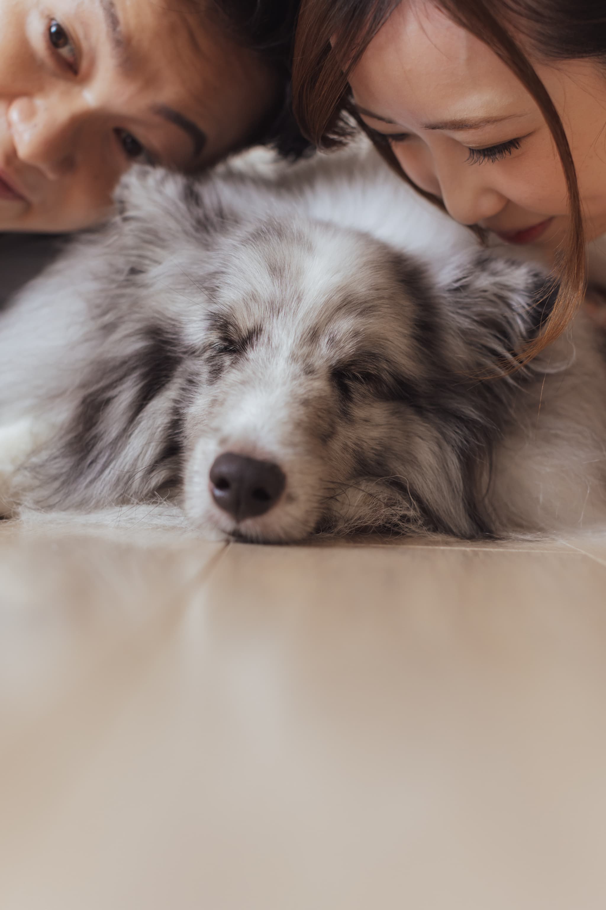 愛犬も主役！の和装フォトウェディング